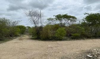Foto de inmueble en Playa San Crisanto, Yucatán, Col. Telchac Puerto C.P. 97407, Telchac Puerto