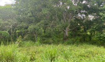 Foto de inmueble en CAMINO A TLALNEHUAYOCAN, Col. 20 de Noviembre C.P. 91230, Tlalnelhuayocan