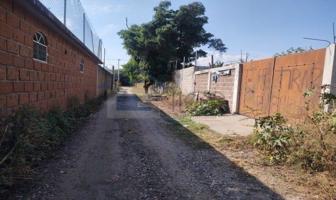 Foto de inmueble en Campo de todos los Santos, Col. Lucio Moreno C.P. 62736, Yautepec