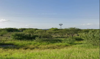 Foto de inmueble en SABINAS HIDALGO #s/n, Col. El Ébano C.P. 65336, Sabinas Hidalgo