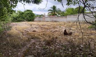 Foto de inmueble en IGNACIO ZARAGOZA, Col. Amaxac de Guerrero C.P. 90620, Amaxac de Guerrero