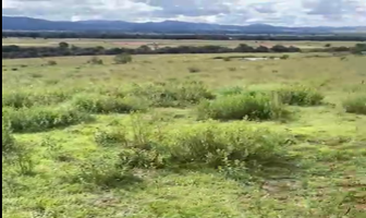 Foto de inmueble en Amealco de Bonfil, Col. Amealco de Bonfil Centro C.P. 76850, Amealco de Bonfil