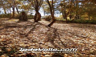 Foto de inmueble en Fontana bella, Col. Avándaro C.P. 51200, Valle de Bravo