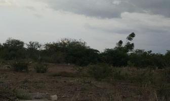 Foto de inmueble en  , Col. Fracción El Refugio Centro C.P. 79660, Ciudad Fernández