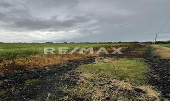 Foto de inmueble en Fraccionamiento. 111 Terreno Rustica, Col. Ancón (La Hacienda de Ancón) C.P. 36864, Salamanca