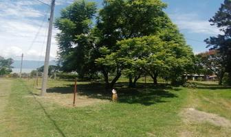 Foto de inmueble en Fraccionamiento Puerto Corona Lote #169, Col. San Luis Soyatlan C.P. 49440, Tuxcueca