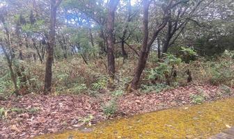 Foto de inmueble en Fraccionamiento Reserva de los Encinos, Col. Teuchitlán C.P. 46760, Teuchitlán