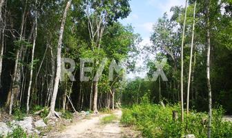 Foto de inmueble en Francisco Uh May, Col. Francisco Uh-May C.P. 77796, Tulum