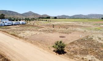 Foto de inmueble en  , Col. Francisco Zarco (Valle de Guadalupe) C.P. 22750, Ensenada