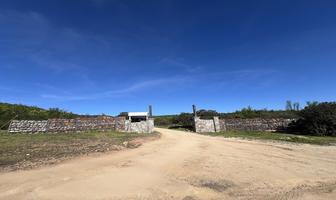 Foto de inmueble en , Col. Francisco Zarco (Valle de Guadalupe) C.P. 22750, Ensenada