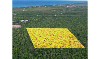 Foto de inmueble en  , Col. Guerra de Castas C.P. 77760, Tulum