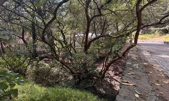 Foto de inmueble en  , Col. Hacienda San Martín C.P. 52743, Ocoyoacac