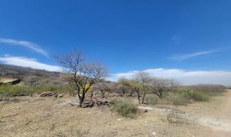 Foto de inmueble en Huerta Vieja I kilometro 25, Col. El Zapote Del Valle C.P. 45672, Tlajomulco de Zúñiga