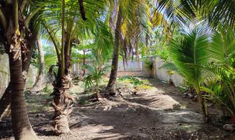 Foto de inmueble en  , Col. Isla de Holbox C.P. 77310, Lázaro Cárdenas
