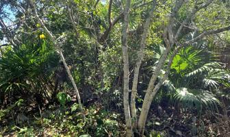 Foto de inmueble en , Col. Isla de Holbox C.P. 77310, Lázaro Cárdenas