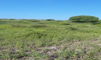 Foto de inmueble en Isla el Aguacatal, Col. Tamiahua C.P. 92560, Tamiahua