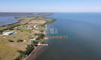 Foto de inmueble en  , Col. Isla Juana Ramirez C.P. 92090, Ozuluama de Mascareñas