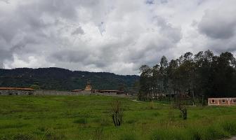Foto de inmueble en _, Col. Ixtapan de la Sal C.P. 51900, Ixtapan de la Sal