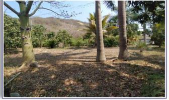 Foto de inmueble en  , Col. Jalcomulco C.P. 94000, Jalcomulco