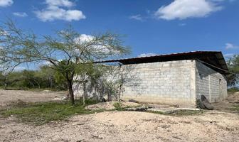 Foto de inmueble en  , Col. Jardín C.P. 89732, González