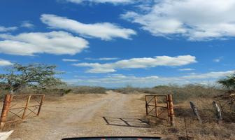 Foto de inmueble en Km 24 Carretera González - Victoria, Col. Gonzalez C.P. 89706, González