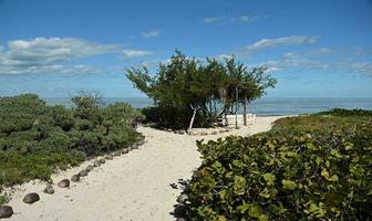 Foto de inmueble en Km 28 carretera Progreso-Telchac, Col. San Diego C.P. 97406, Dzemul
