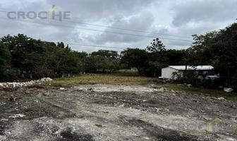 Foto de inmueble en  , Col. La Bocana C.P. 91634, Emiliano Zapata