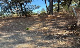Foto de inmueble en La compañia, Col. Cerro Colorado C.P. 51220, Valle de Bravo