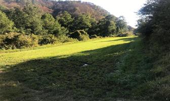 Foto de inmueble en La cuadrilla de Telpintla, Col. Telpintla C.P. 51303, Temascaltepec