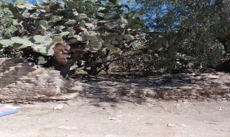 Foto de inmueble en La Escondida, Col. Mineral de Pozos C.P. 37915, San Luis de la Paz