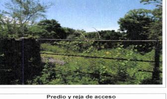 Foto de inmueble en  , Col. La Mezquitera C.P. 62985, Tlaquiltenango