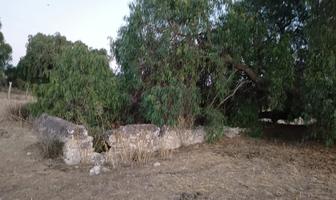 Foto de inmueble en La Noria Puerto de Nieto, Col. La Noria C.P. 37887, San Miguel de Allende
