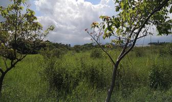 Foto de inmueble en  , Col. La Orduña C.P. 91603, Coatepec