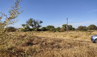 Foto de inmueble en  , Col. La Piedrera C.P. 45690, El Salto