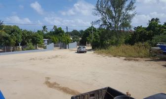 Foto de inmueble en Veinte de Noviembre, Col. La Rivera C.P. 23570, Los Cabos
