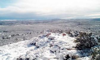 Foto de inmueble en La Rumorosa, Col. La Rumorosa C.P. 21510, Tecate