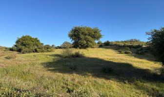 Foto de inmueble en La ruta del vino km 70, Col. El Porvenir C.P. 22755, Ensenada
