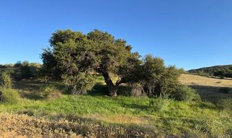 Foto de inmueble en La ruta del vino km 70, Col. El Porvenir C.P. 22755, Ensenada