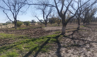 Foto de inmueble en  , Col. La Trinidad C.P. 20326, Aguascalientes