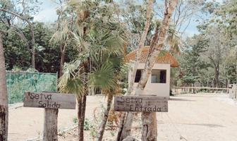 Foto de inmueble en , Col. La Veleta C.P. 77760, Tulum