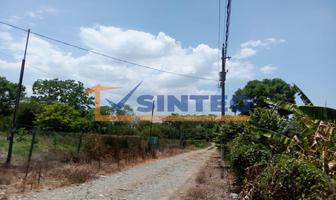 Foto de inmueble en  , Col. La Victoria Kilómetro 47 C.P. 93523, Papantla
