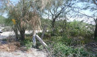 Foto de inmueble en  , Col. La Victoria C.P. 65537, Salinas Victoria