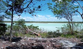 Foto de inmueble en , Col. Laguna Guerrero C.P. 77966, Othón P. Blanco