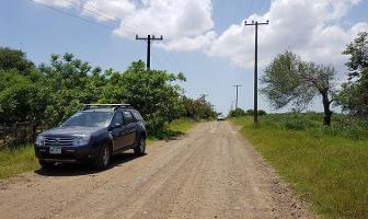 Foto de inmueble en Terreno Rustico EN Venta 30 Has, Brecha EL Chocolate Altamira TAM, Col. Las Blancas C.P. 89602, Altamira