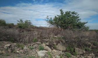 Foto de inmueble en  , Col. Las Lomas C.P. 36140, Silao de la Victoria
