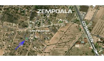 Foto de inmueble en  , Col. Las Palmitas C.P. 43837, Zempoala