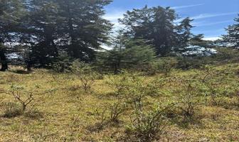 Foto de inmueble en Las palomas, Col. San Antonio C.P. 51200, Valle de Bravo