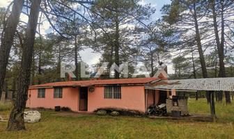 Foto de inmueble en Laurel, Col. Fraccionamiento Campestre Residencial Navíos C.P. 34385, Durango