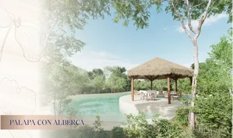 Foto de inmueble en , Col. Leona Vicario C.P. 77590, Puerto Morelos