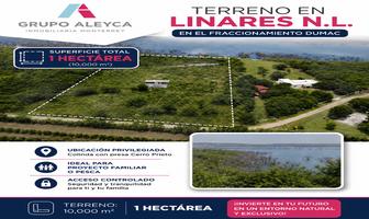Foto de inmueble en , Col. Linares Centro C.P. 67700, Linares